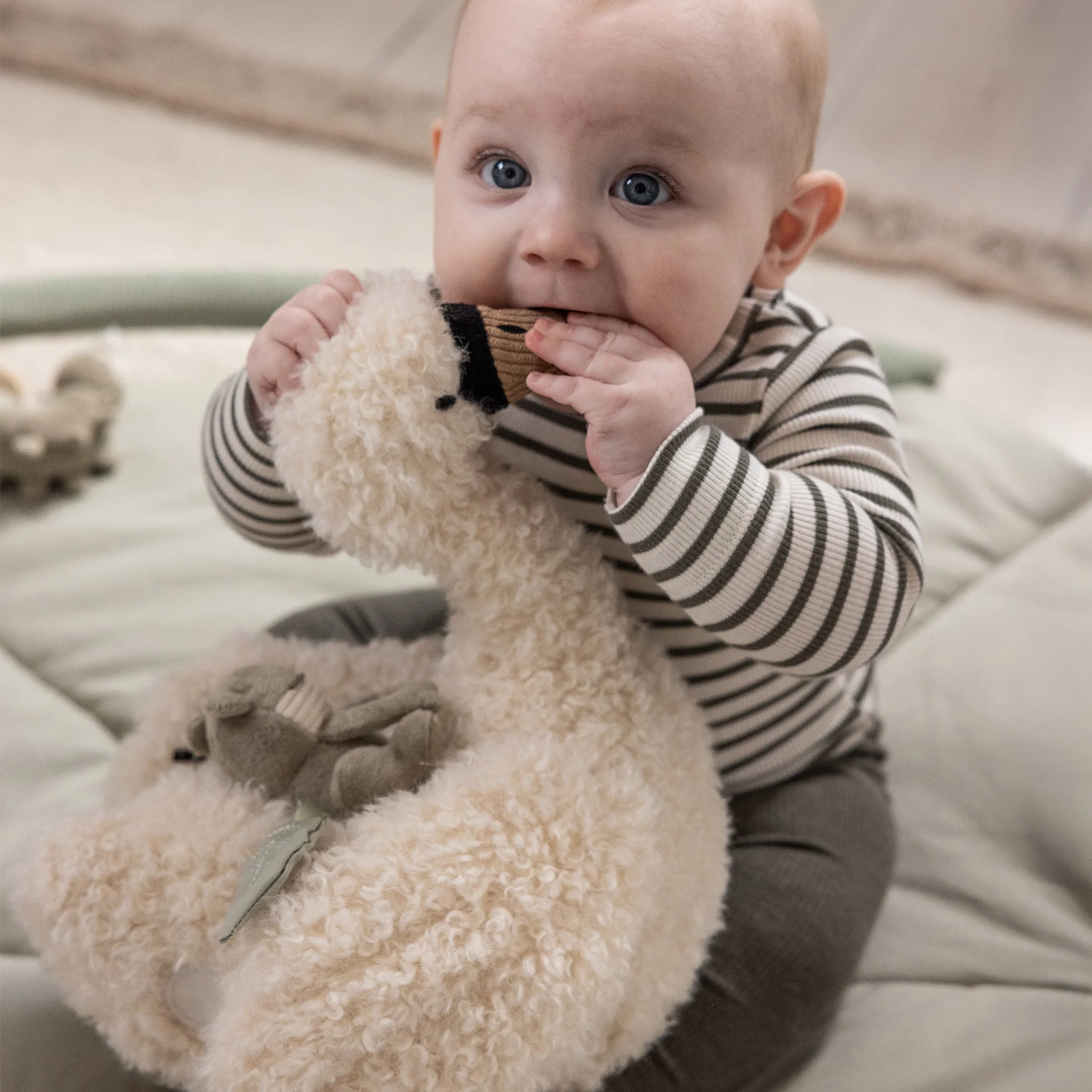 Aktivitetslegetøj - Sebra Play - Creamy White - Image 8