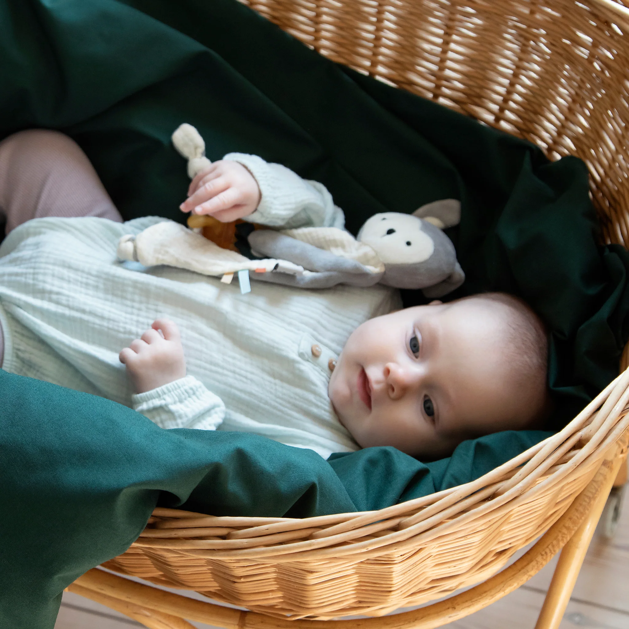 Aktivitetsnusseklud - Sebra Play - Grå - Image 3