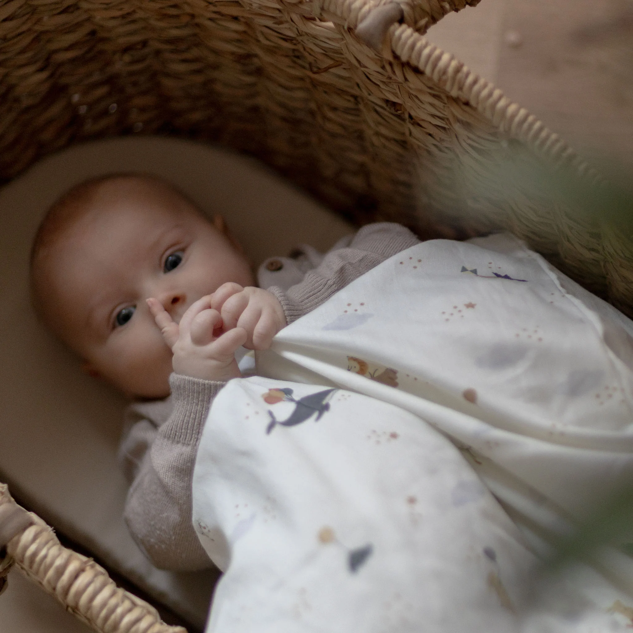 Baby Sengetøj - Sebra Sleep - World of Sebra - Image 6